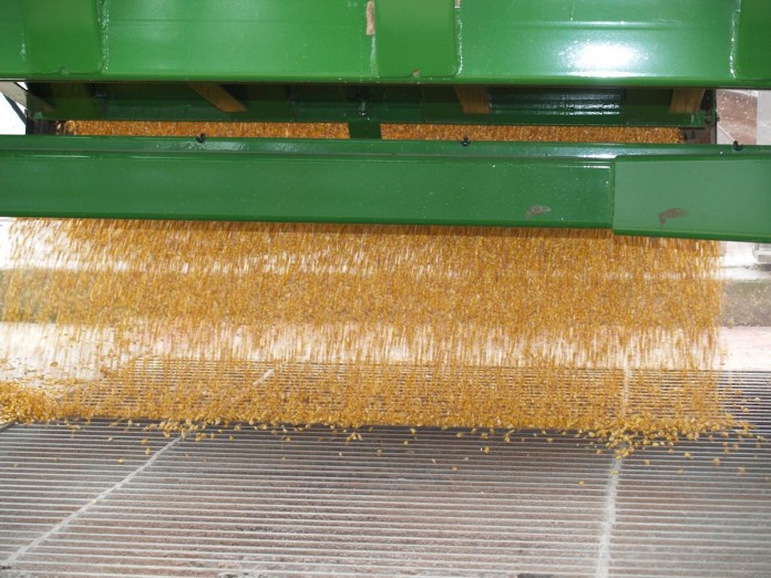 unloading corn