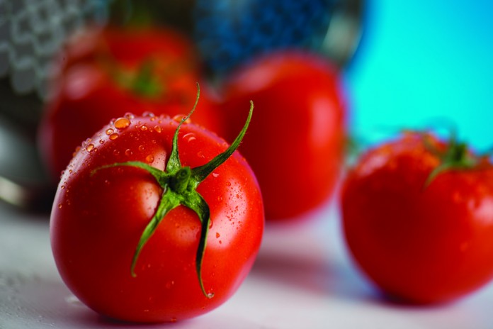 fresh tomato