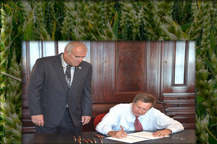 grain signing copy