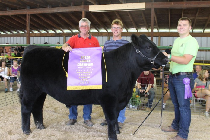 trumbull gr ch steer