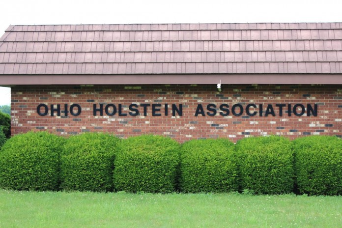 Holstein.Assoc
