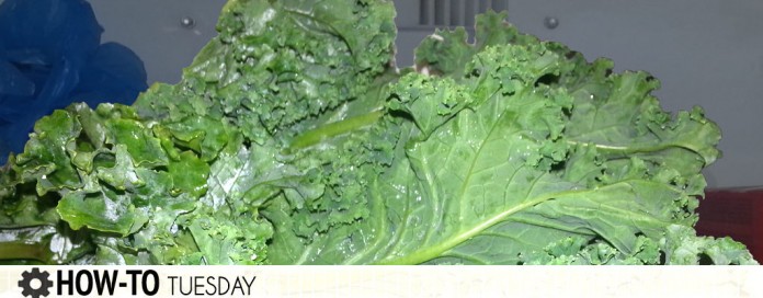 How-to Tuesday Kale