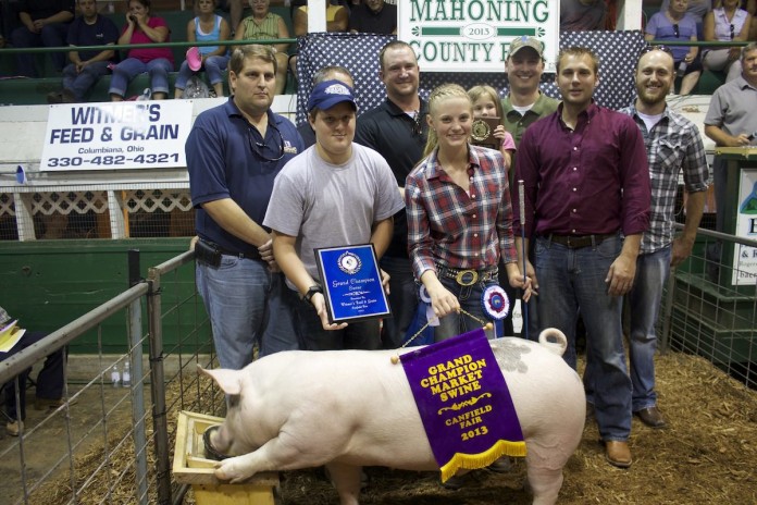 canfield gr ch hog