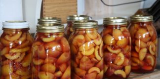 canned nectarines