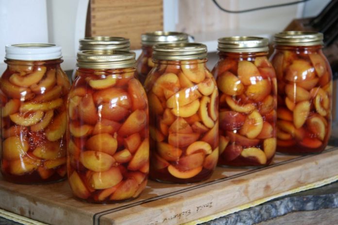 canning nectarines canned nectarines