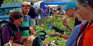 farmers market