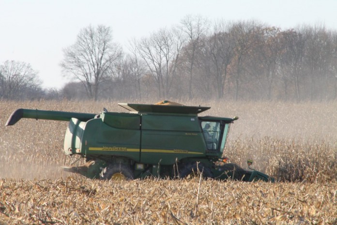 Corn harvest. Corn harvest.