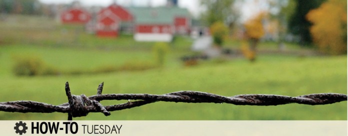 how-to-fence