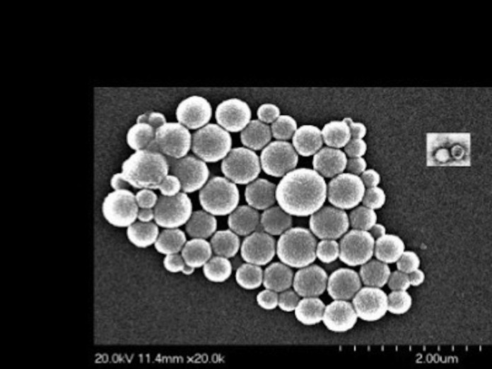 prrs vaccine