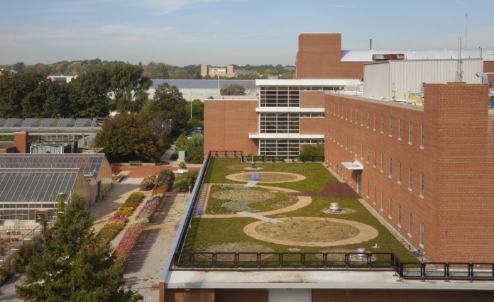 10_10 osu green roof
