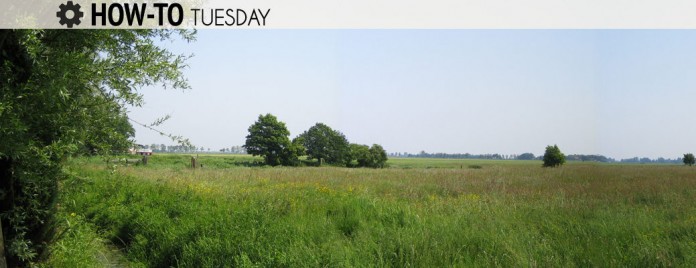 How to improve pasture pasture land