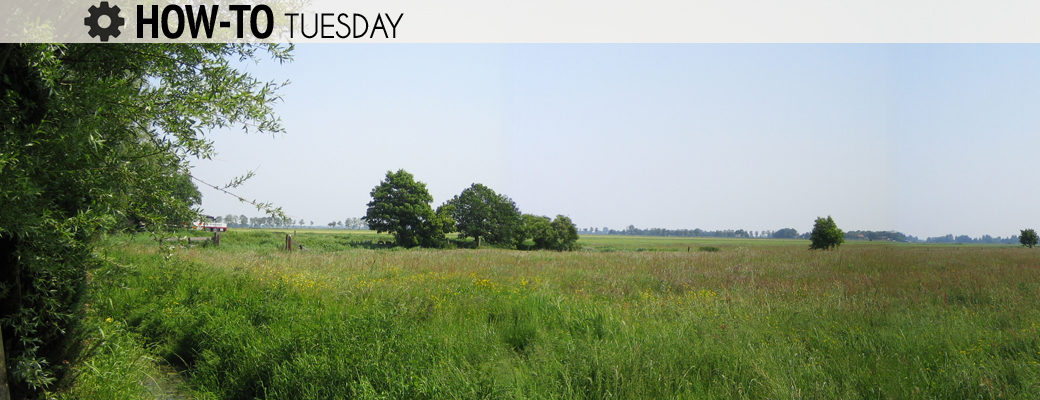 pasture land