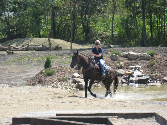 Jemily Horse Park Horse training