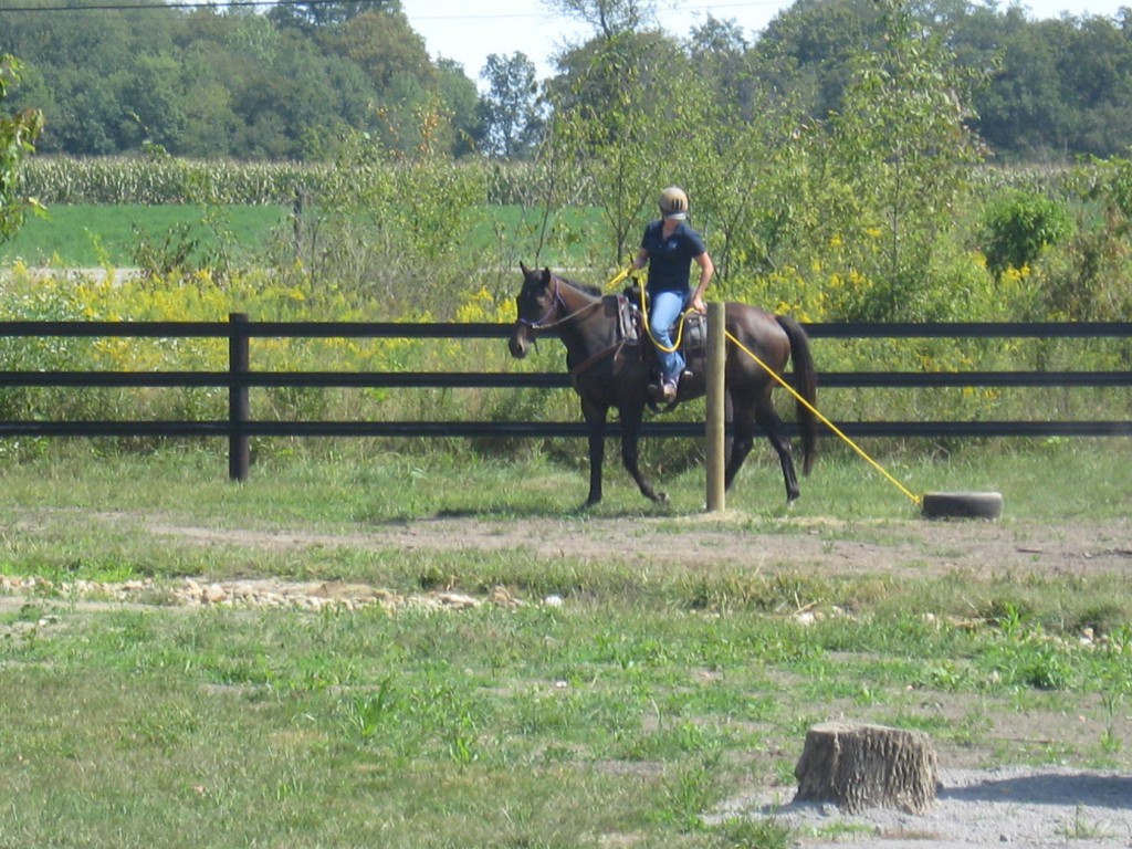 Since horses are flight animals, their first instinct is to run if something scares them. The idea of this obstacle is to get them used to pulling something behind them, for example, if someone would need to be removed from the woods because of an injury.