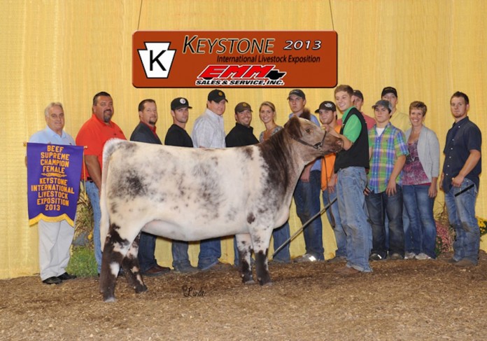 kile beef.supreme.boyert