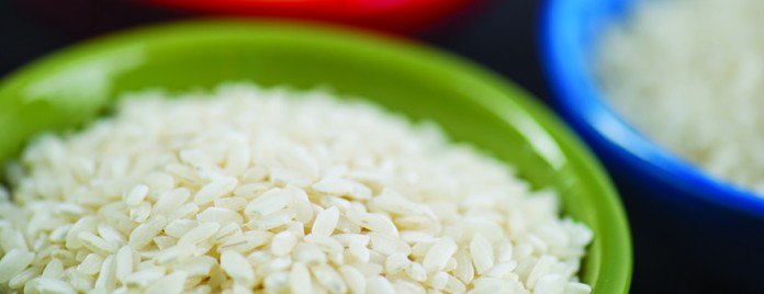 rice bowl