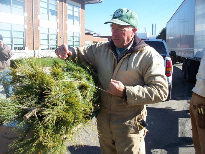 11_21 operation evergreen_1541