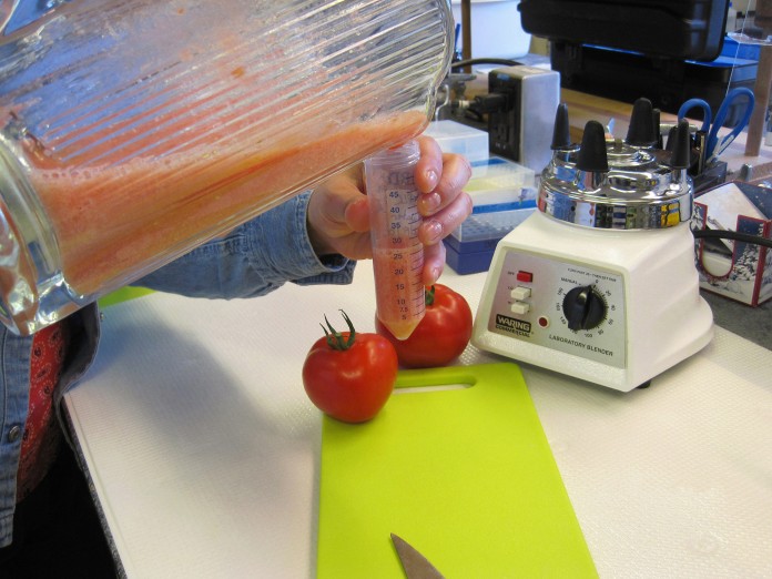 (Susan M. Sheffer photo, USDA/ARS)