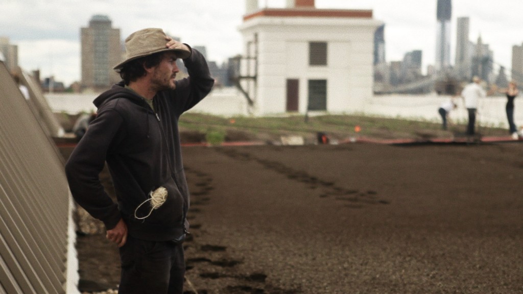 Brooklyn Farmer still