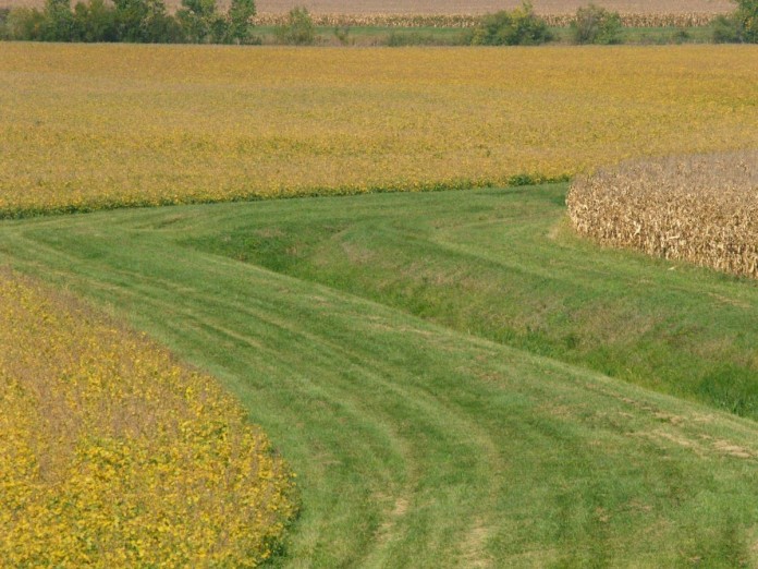 corn soybeans waterway conservation corn soybeans waterway conservation