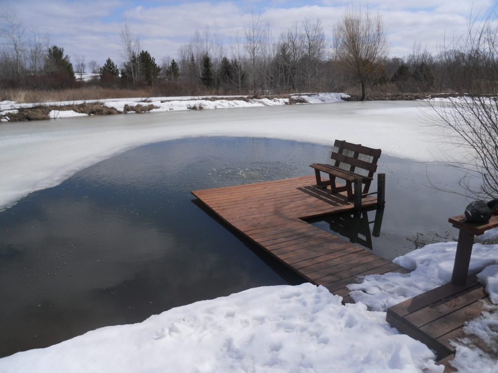 winter fish kills