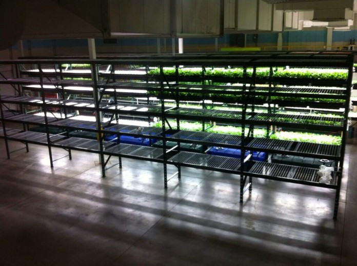 Green Spirit Farms