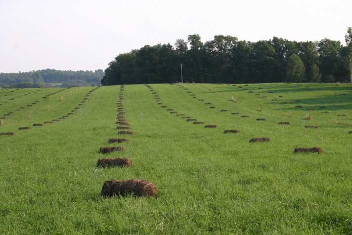 mckarns hay bales copy