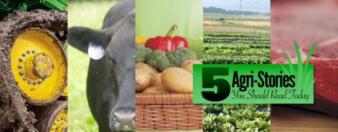 5-agri-stories-you-should-read