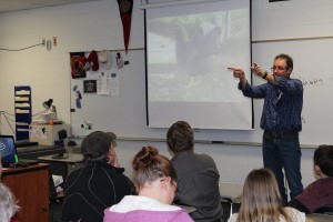 OEFFA workshop