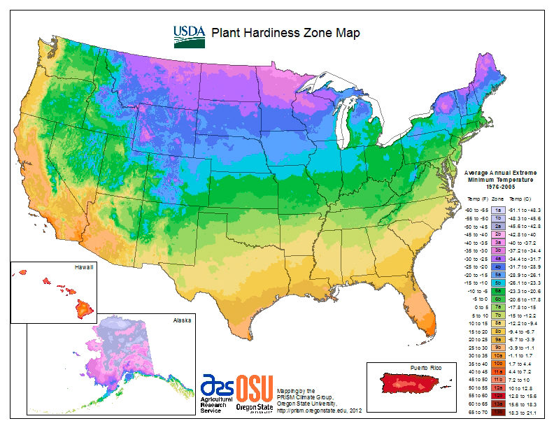 Plant-hardiness-zones