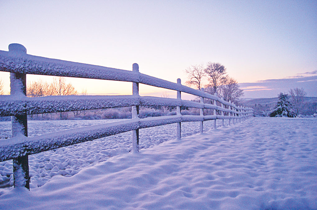 snow on fence