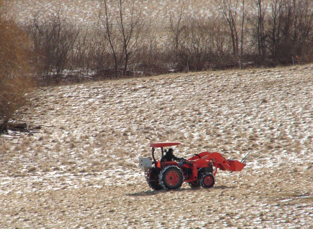 frost seeding