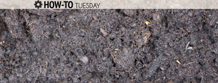 Soil Testing