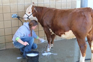 Washing girl