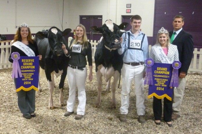 pa. holstein show.Grand Champions-Open & Youth