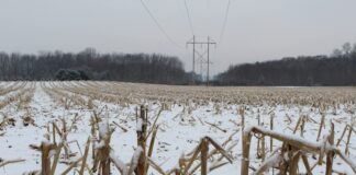 winter