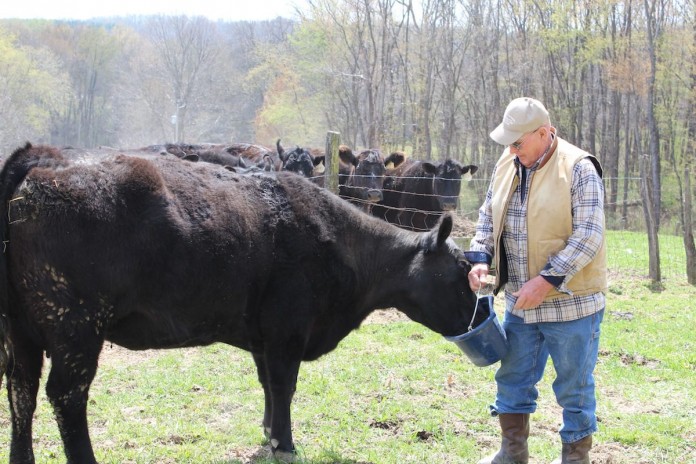 Duncan feeding