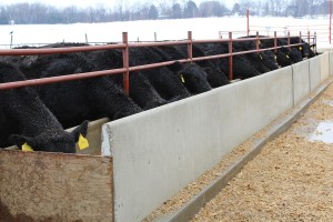 Prison feeder