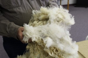 hands fleece 2