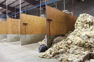 wool drop 2