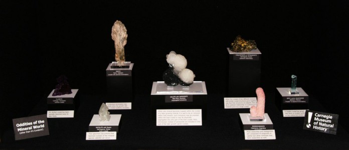 Minerals Case : Carnegie Museum