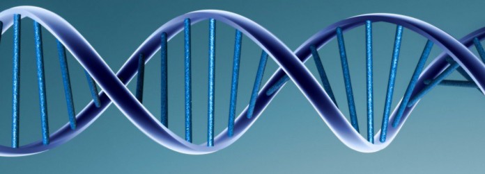 dna