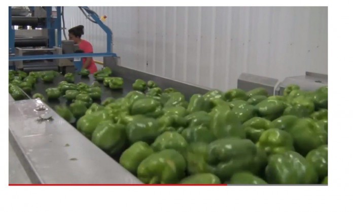 produce video