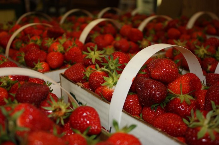 strawberries.white house