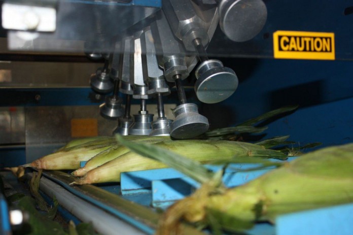 sweet corn counter