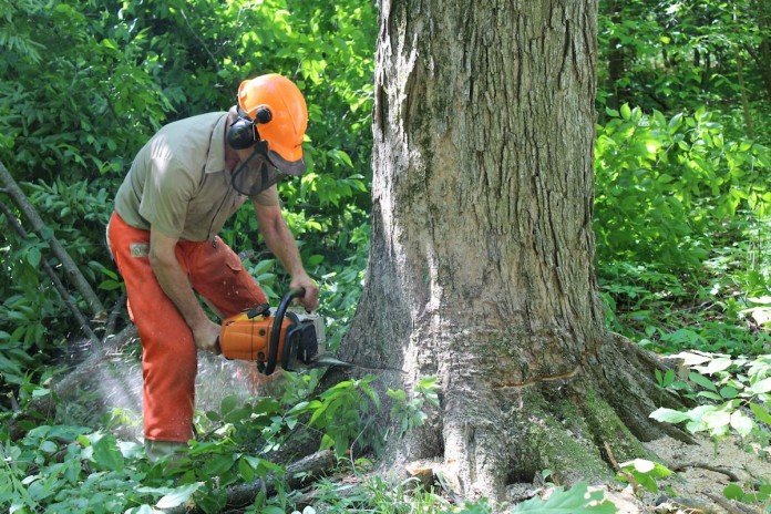 Bore cutting