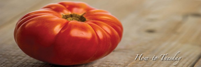 Tomatoes Tomatoes