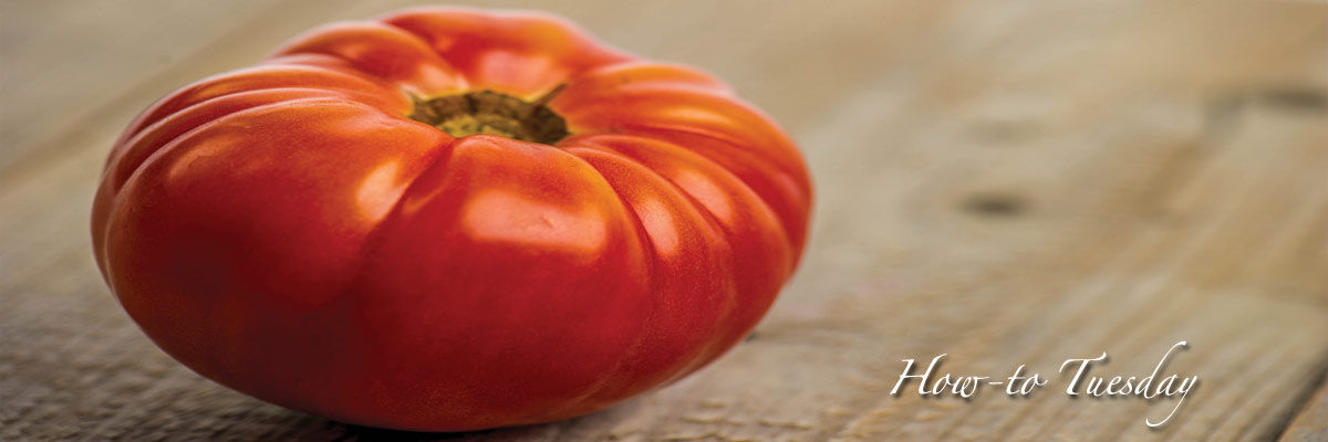 Tomatoes