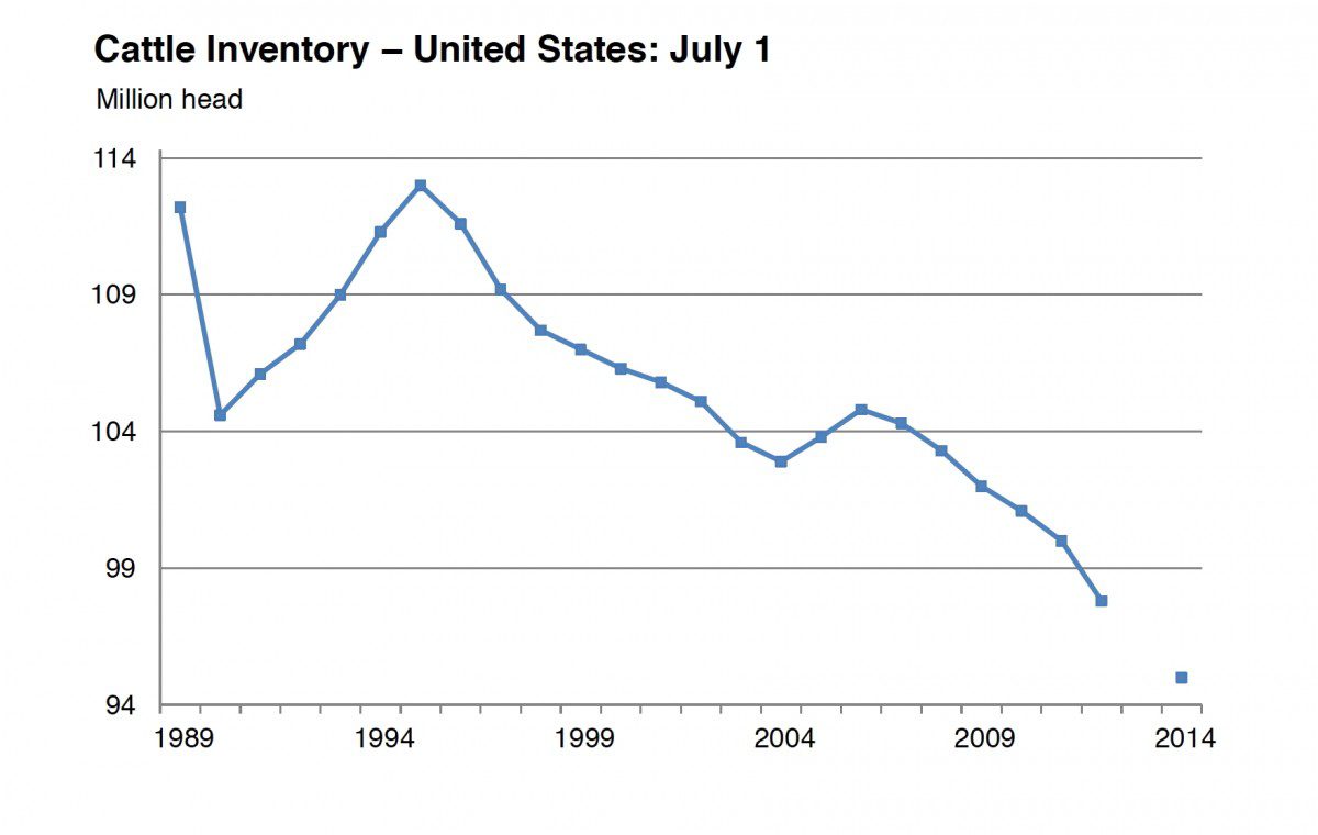 cattle inventory