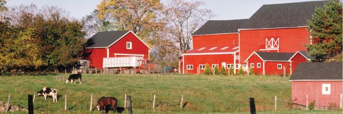 farm farm